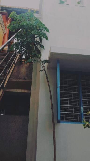 The Vintage House Villa Mysore Bagian luar foto